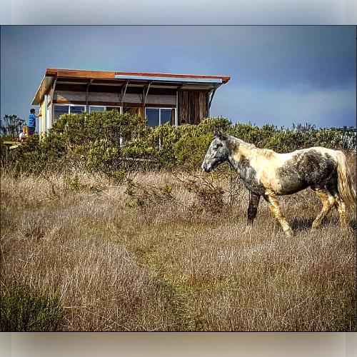 REFUGIO_SD_09