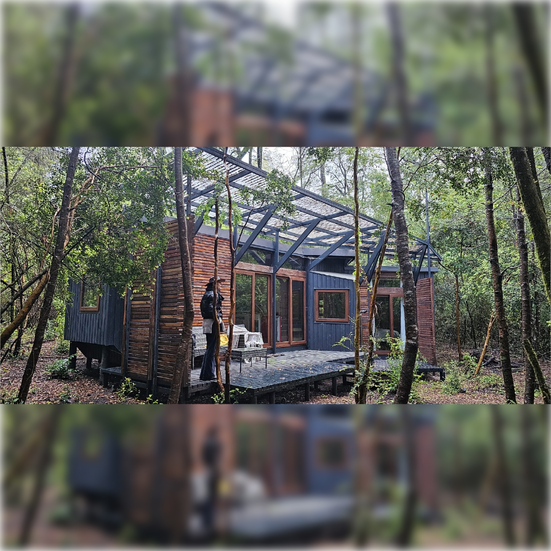 refugio-modular-en-bosque-sur-de-chile Refugio modular a medida en entorno natural con estructura elevada y diseño personalizado